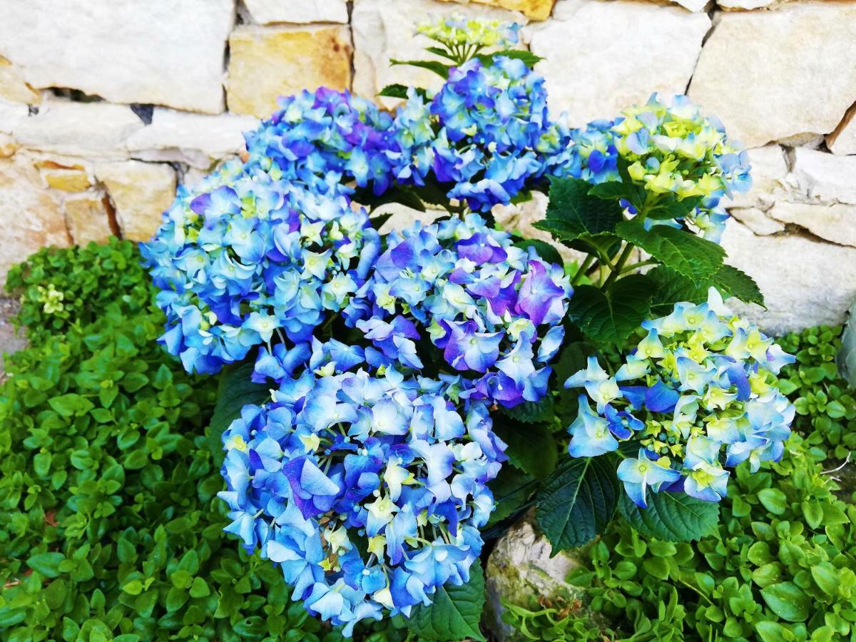 Bed & Breakfast Del Mare